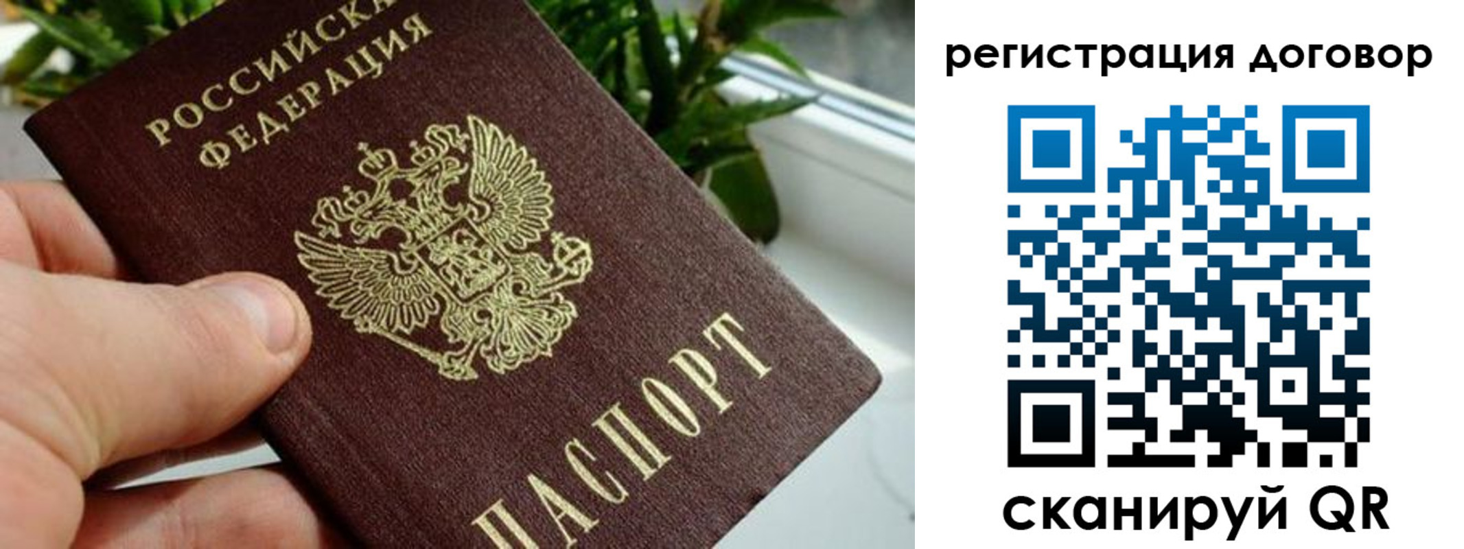 прописка ребенка в Протвино